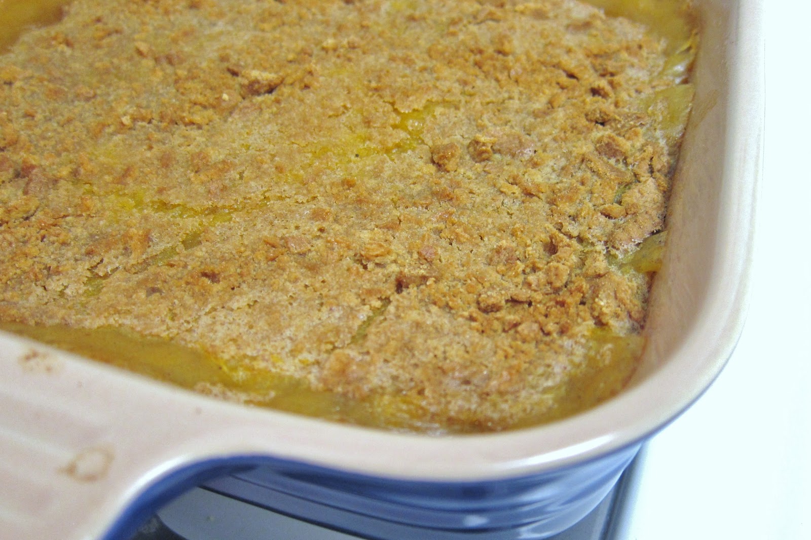 The Vegan Chronicle Butternut Squash Pudding