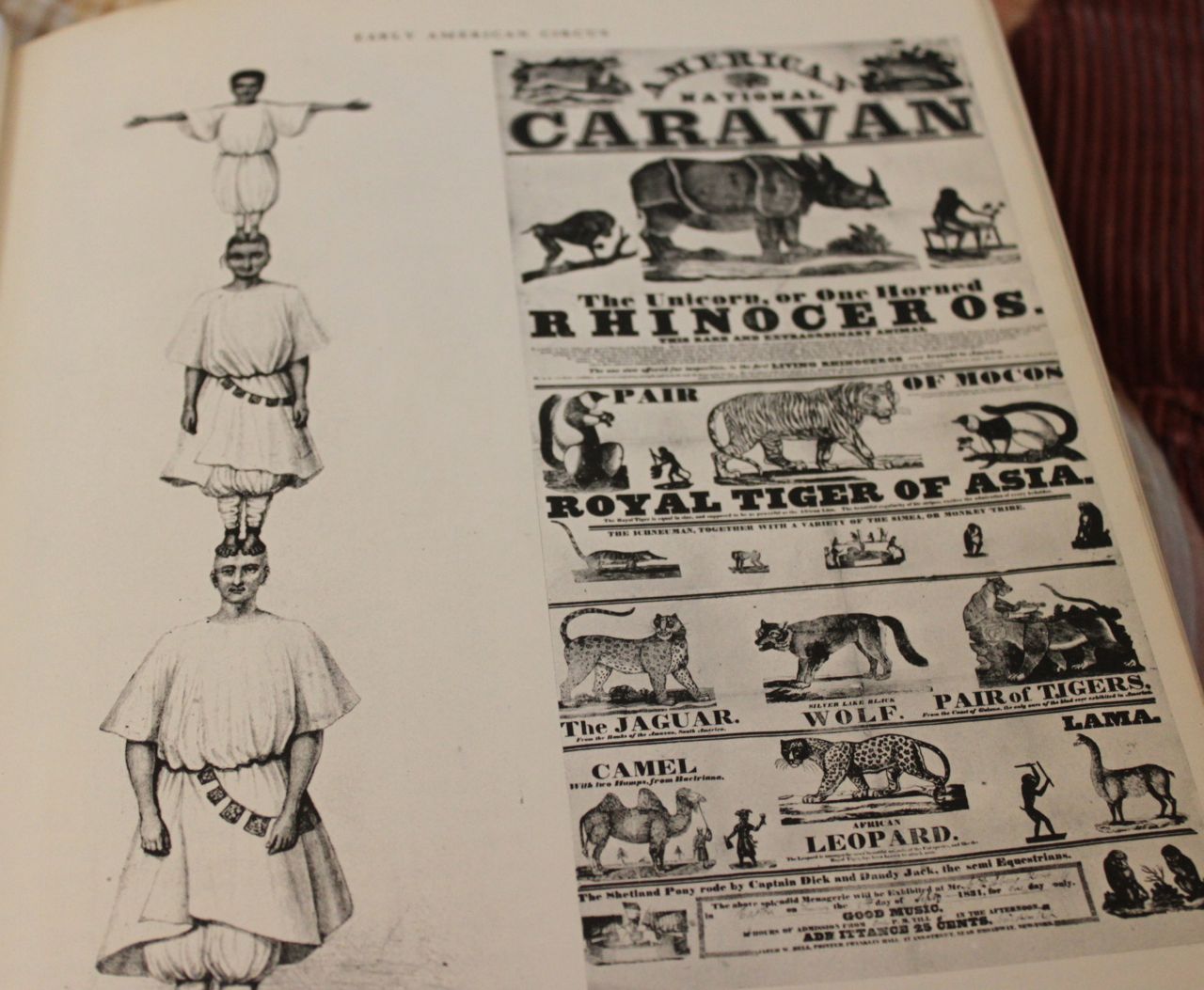 identical eye: Pictorial History of the American Circus