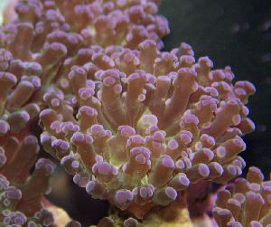 ���� ������ �� ����� ������ ������� ���� ������ �� ���� ������ ������ �������