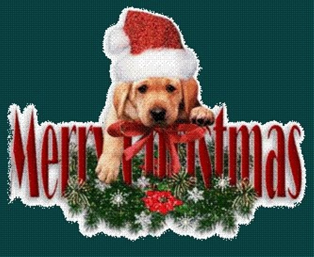 chirstmas: christmas wishes