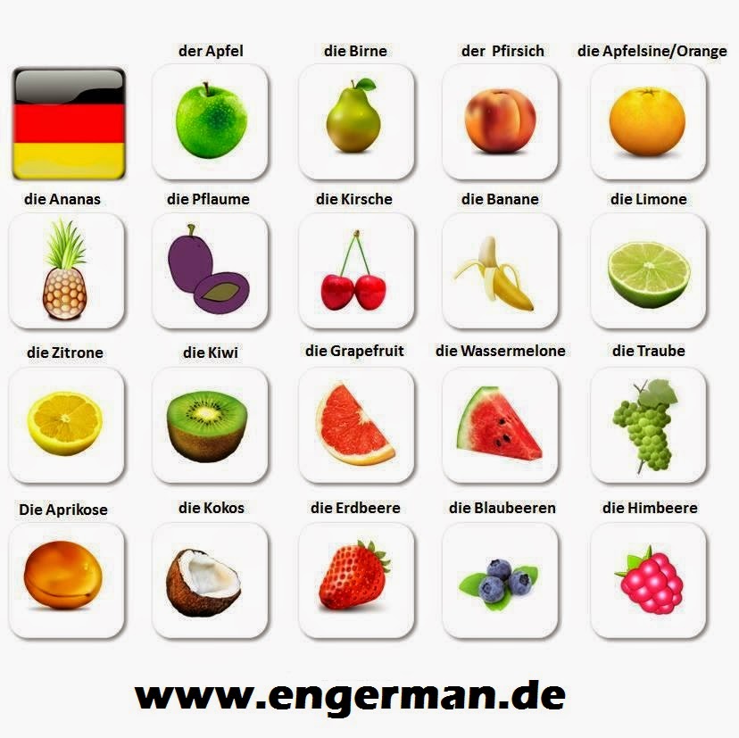 German Vocabulary Fruits & vegetables « L E A R N G E R M A N