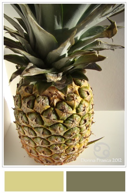 Color Recipes: The Welcoming Pineapple