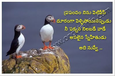 Telugu-Kavithalu-on-Friendship Telugu Kavithalu on Friendship http://telugusms-aadhi.blogspot.com ...