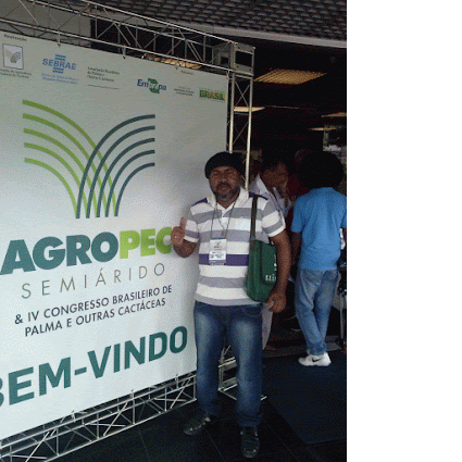 COMSEA/SSA no IV Congresso Brasileiro de Palmas e Outros Cactáceas - AGROPEC, 2015, Salvador (BA)