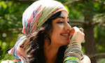 Heart Attack Telugu Movie Photos Gallery-thumbnail