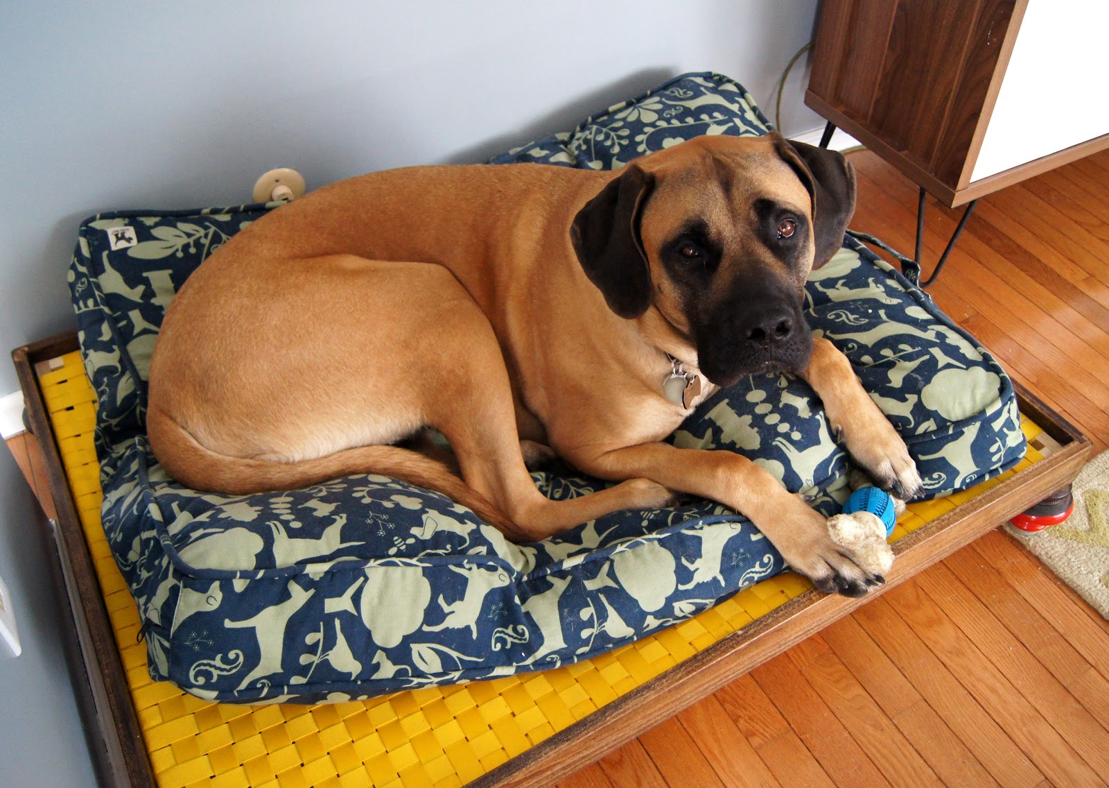 Wouldn't it be Lovely Huge Dog Bed