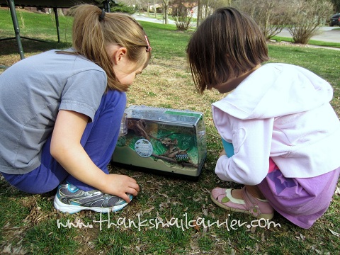 Thanks Mail Carrier Have An Incredible Outdoor Adventure With