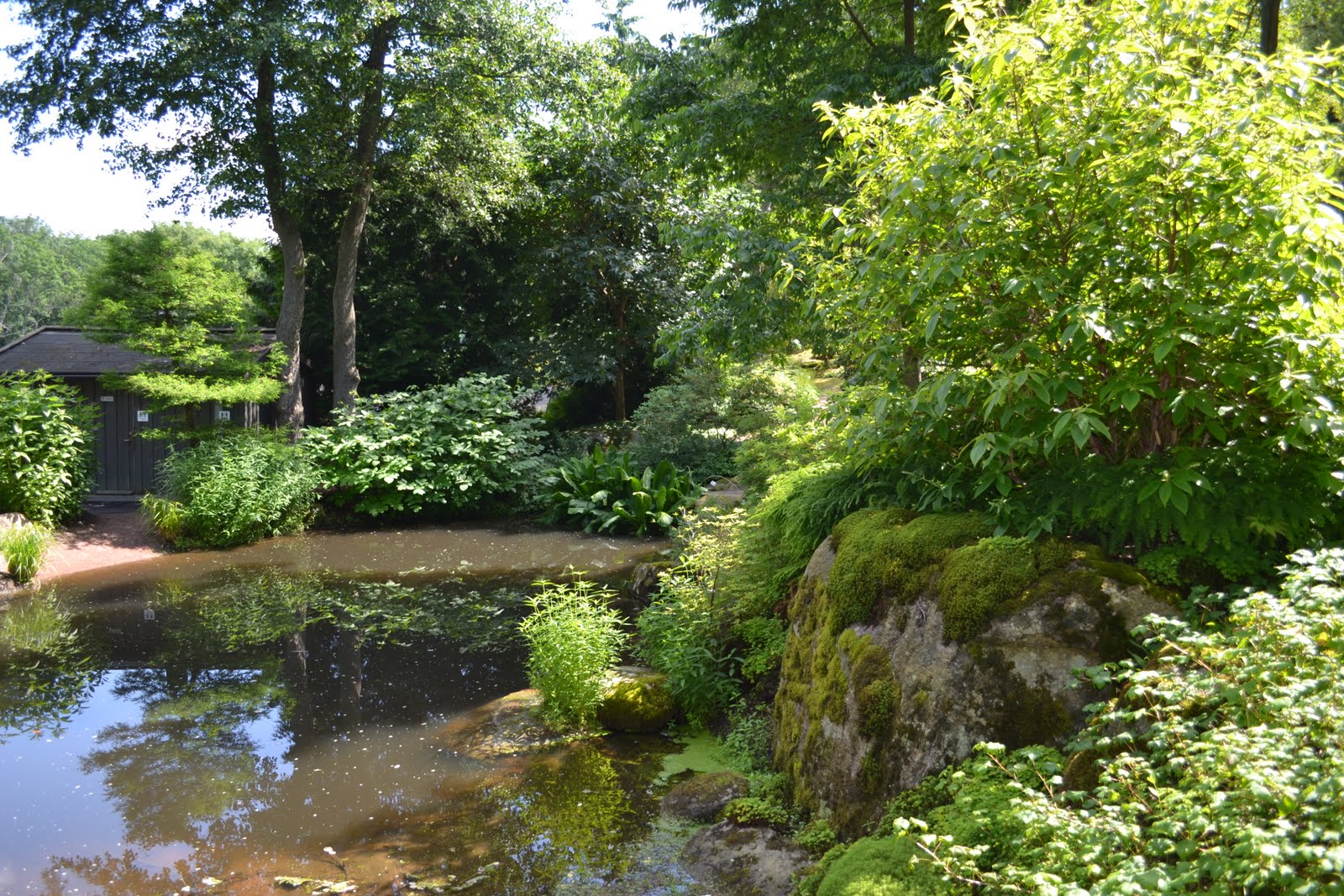 Blomsterbo: botaniska trädgården och lite inköp