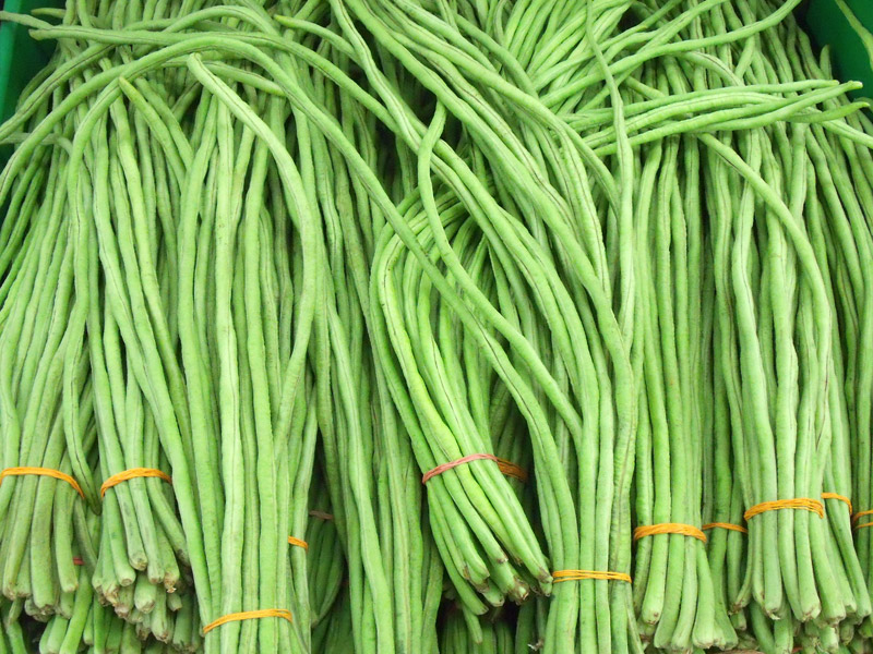 Health Benefits of Yard Long Bean During Pregnancy Health Benefits of