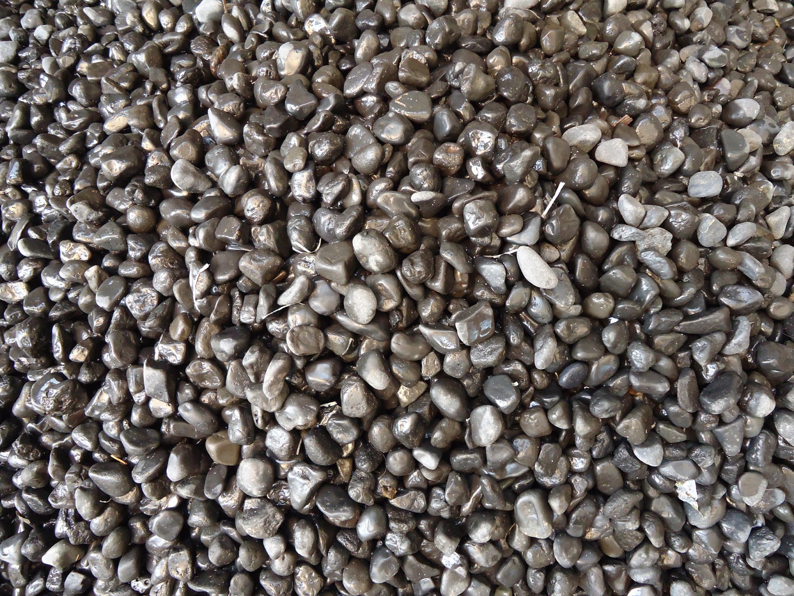 Harga Batu Koral Hias | Informasi Daftar Harga-Harga Terbaru Bulan Ini