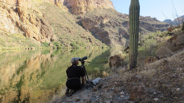 Scouting+for+Sheep+In+Arizona+with+Colburn+and+Scott+Outfitters.JPG