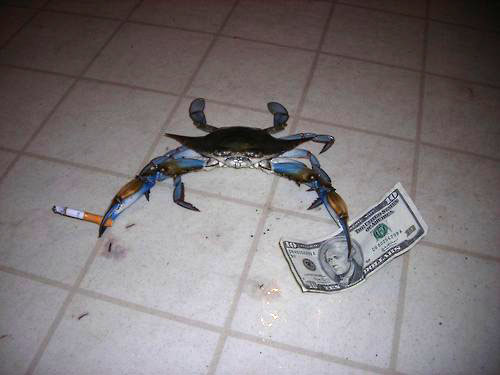 http://2.bp.blogspot.com/-fREKUqmRaTE/TXEzsi1k_FI/AAAAAAAABmM/Iuqfh1kKwGI/s1600/smoking_crab1.jpeg