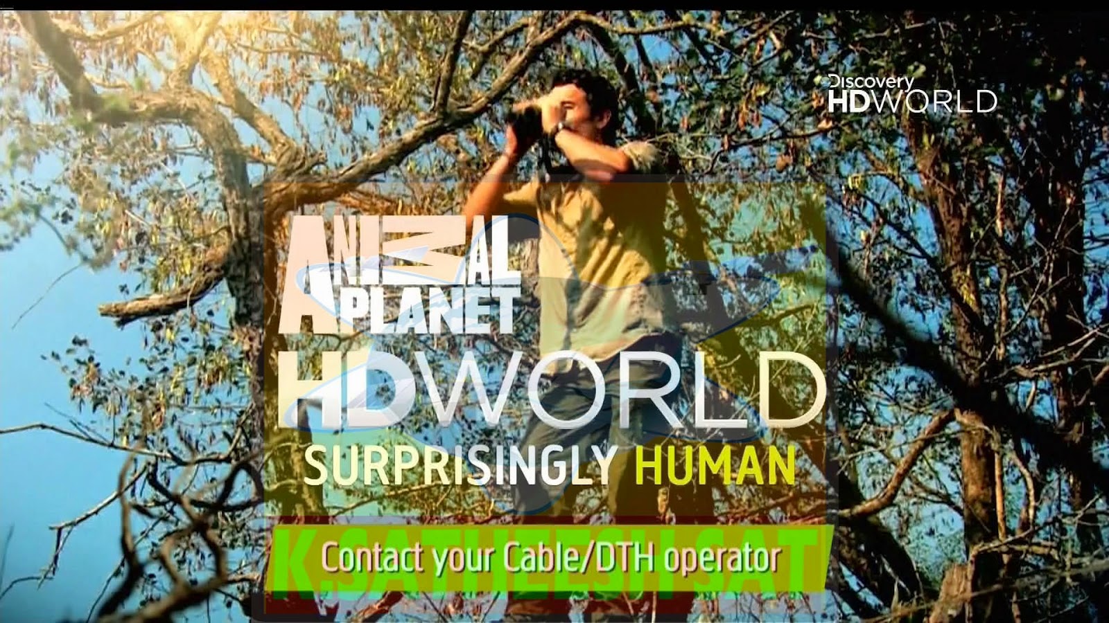  SAT ENGLISH: ANIMAL PLANET HD WORLD,TLC HD WORLD NEW HD CHANNEL'S  STARTED DISCOVERY FROM IS17@