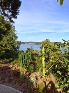 Vista with Cacti