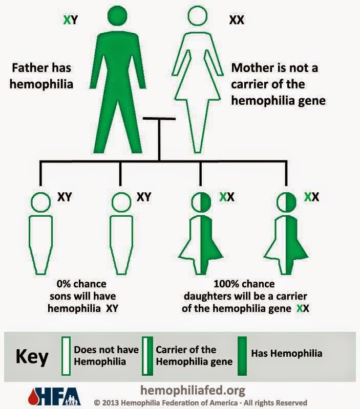 hemophilia genetics