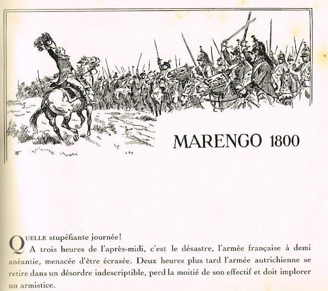 Essay love for animals