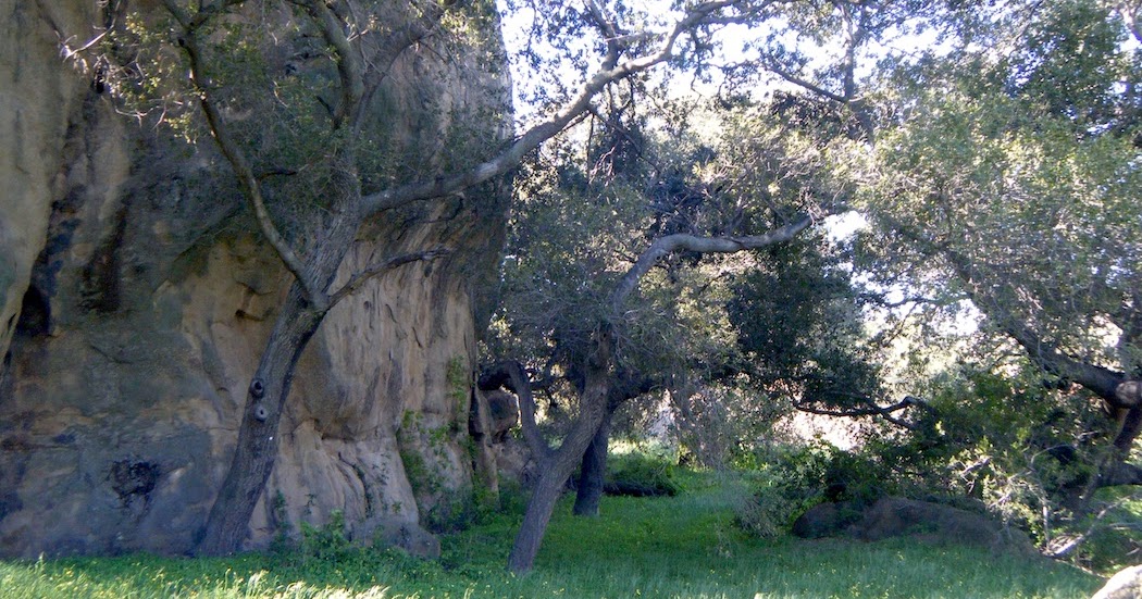 A drifting cowboy Meanwhile back at the ranch Cap Rock