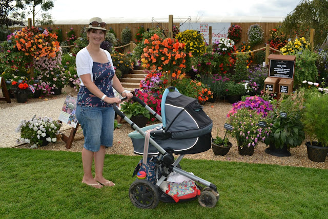 Tin Box Traveller and pram inferno to landscaped gardens