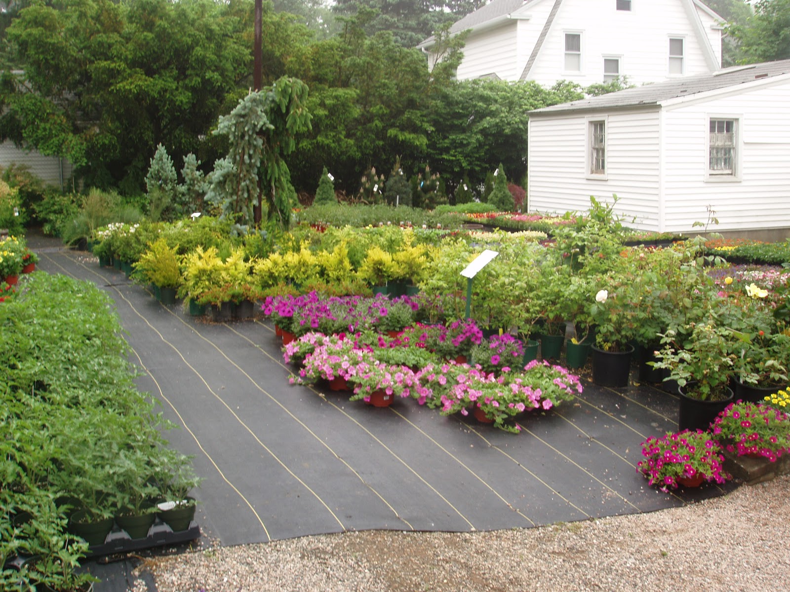 Home Place Shelley's Garden Center in Branford, CT