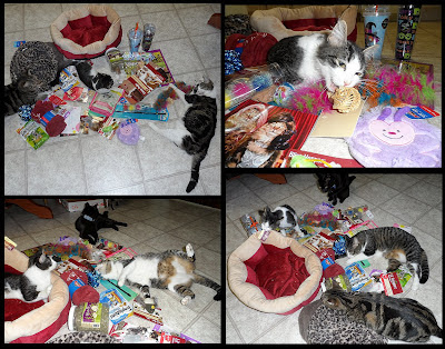 Anakin, George, Pixie, Trixie & Zoe with Presents!