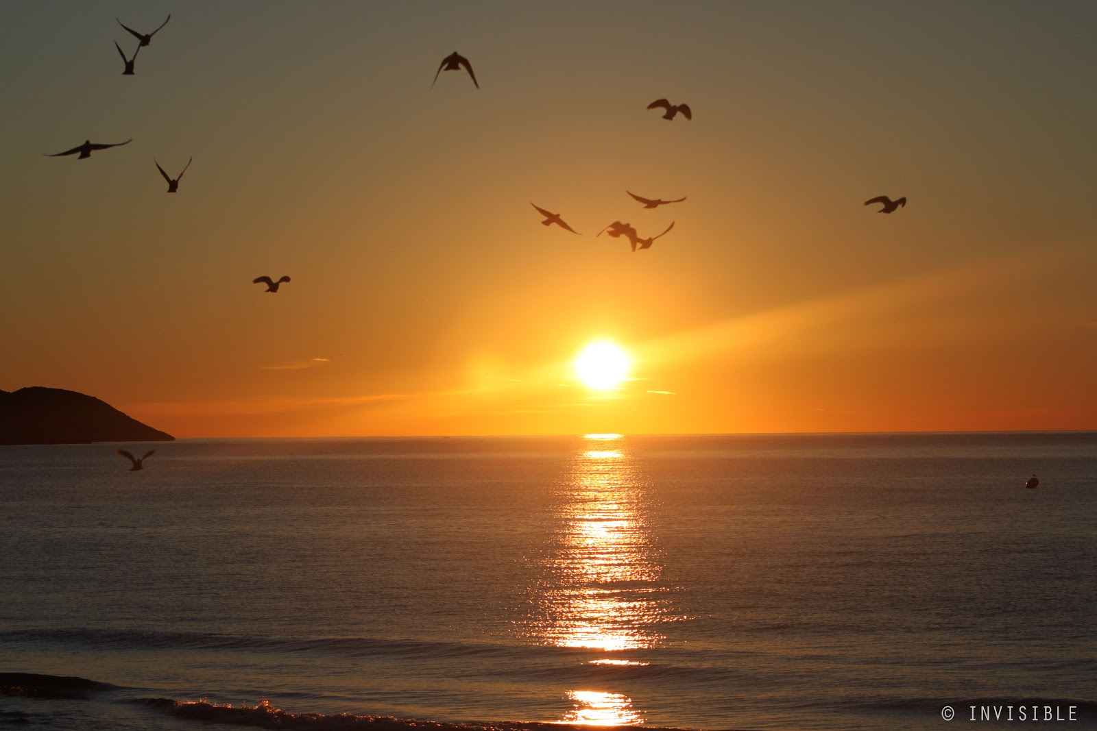 EL RINCON DE ENERI - Página 38 Palomas+amanecer+3