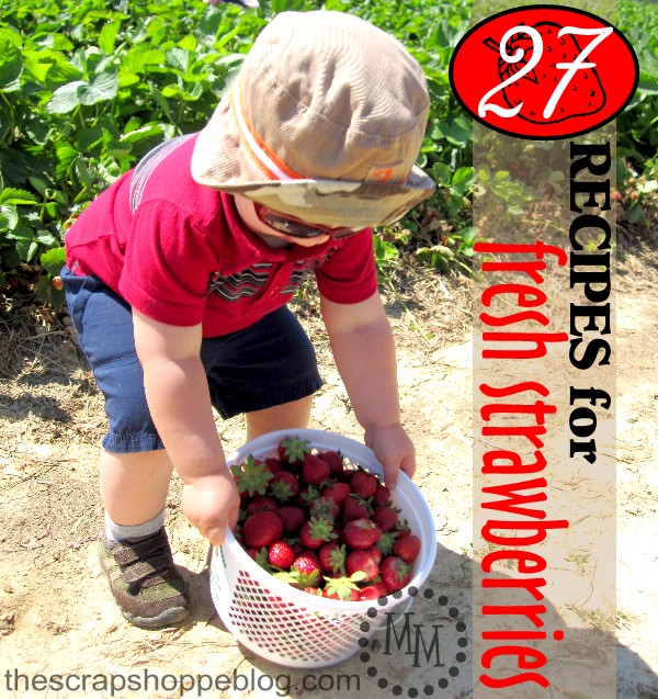 27 Recipes for Fresh Strawberries The Scrap Shoppe