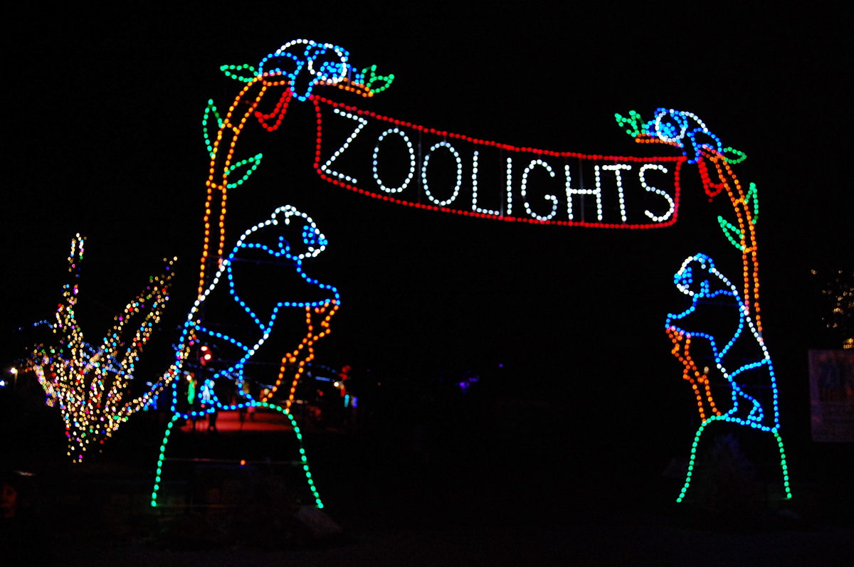 Bilbo from California A visual diary December 2011