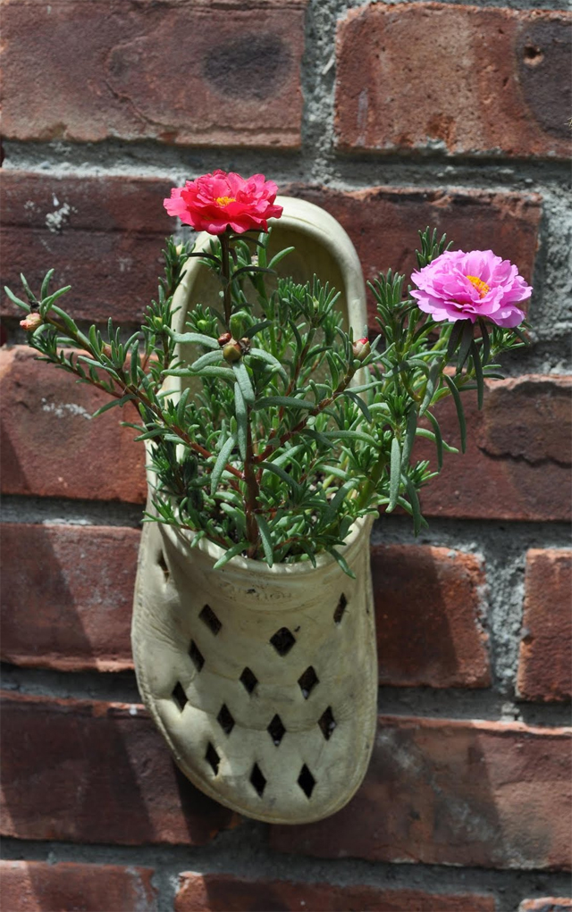 Sandálias Crocs reutilizadas como vasos de jardins
