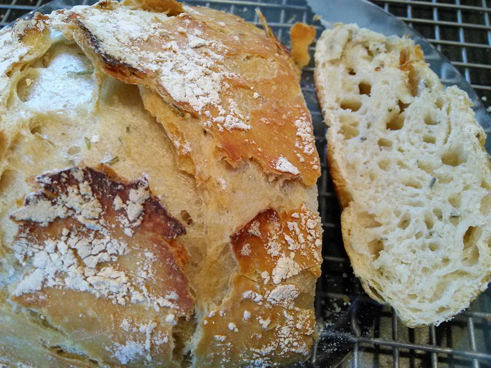 Southern Forager No Knead Rosemary Garlic Peasant Bread
