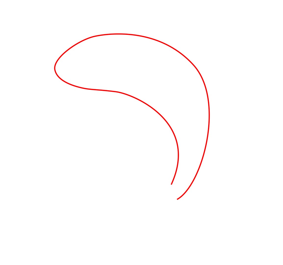 How To Draw A Cartoon Shark - Draw Central