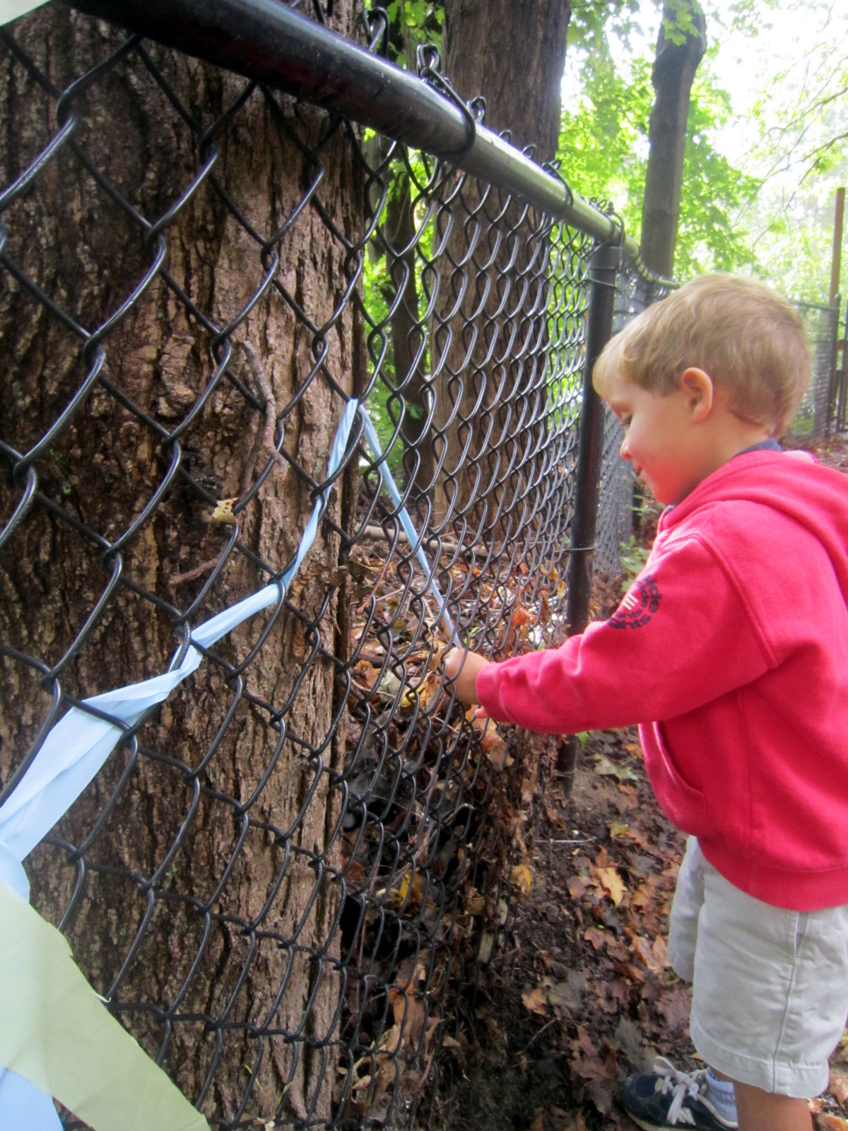 Playfully Learning Fence Weaving