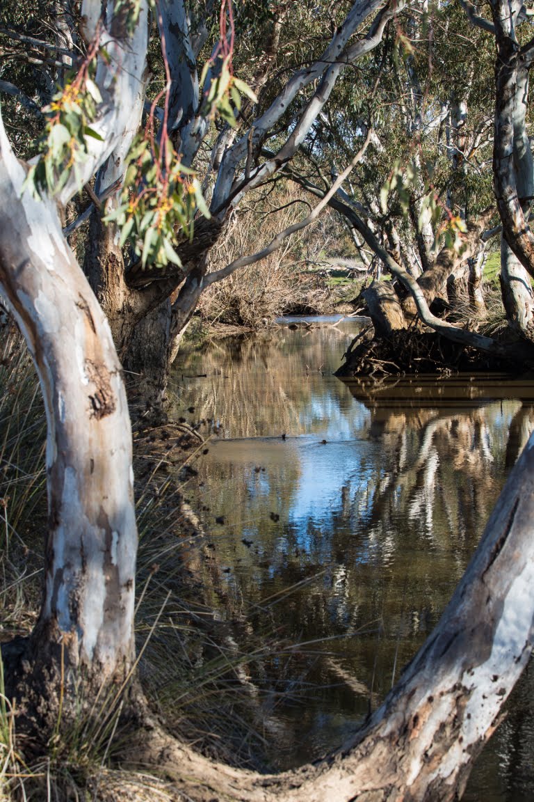 Joyce's Creek by Geoff Park