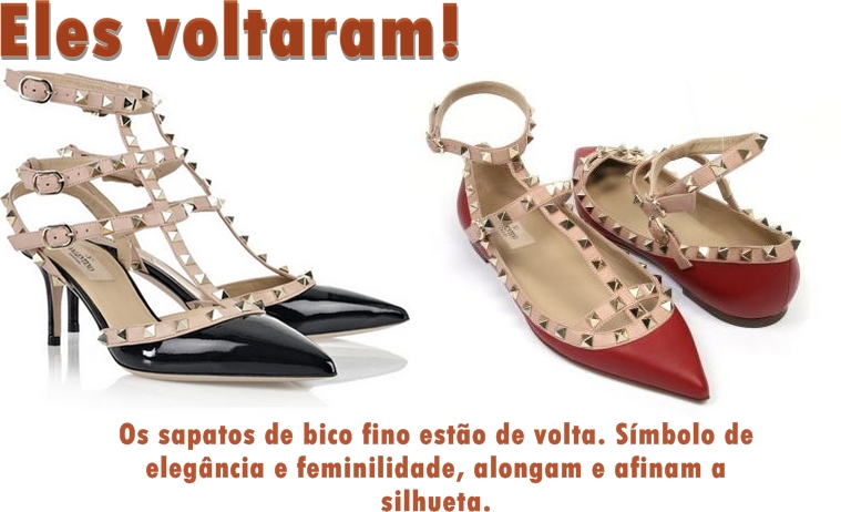Blog Chic.com: Eles voltaram (sapatos de bico fino)