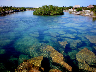 (Mexico) - Riviera Maya