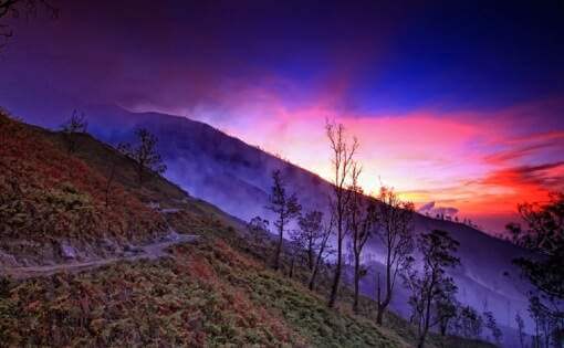 SUNRISE OF JAVA SUNRISE OF JAVA
