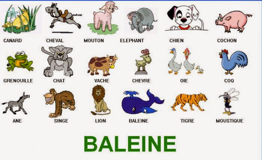 les noms des animaux en français 