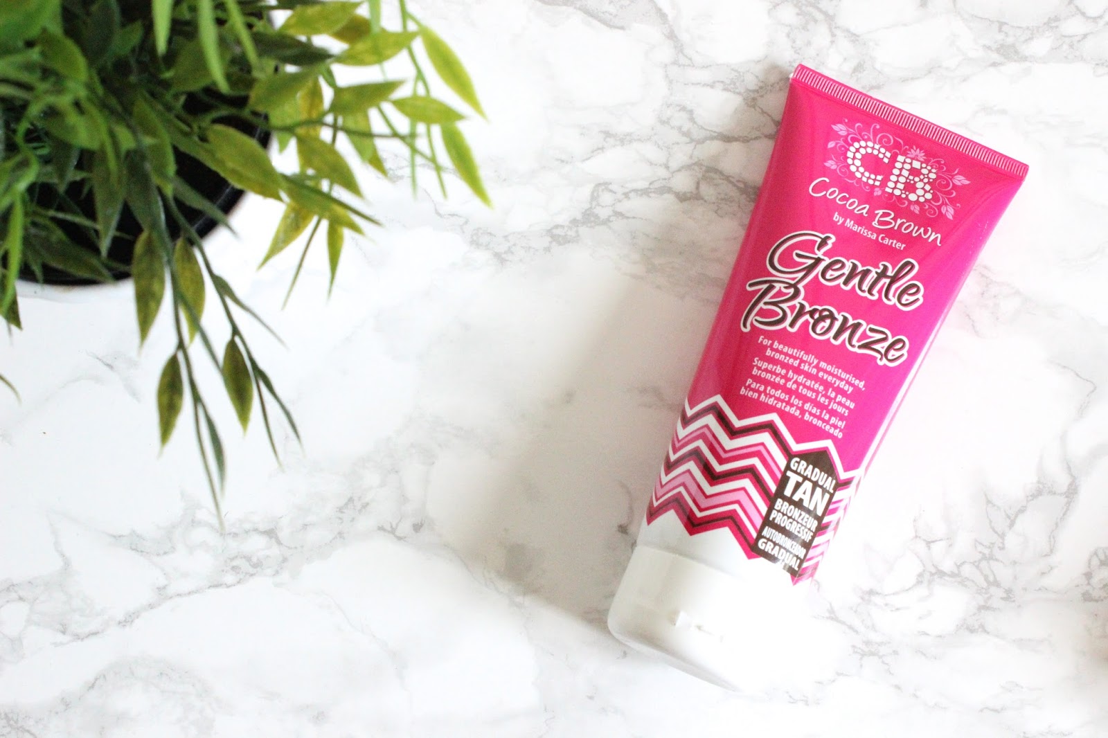 Cocoa Brown Gentle Bronze a little pop of coral.