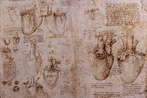 Imagen de la semana: Bocetos de Leonardo Da Vinci