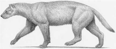 mustelidae extinct Ekorus