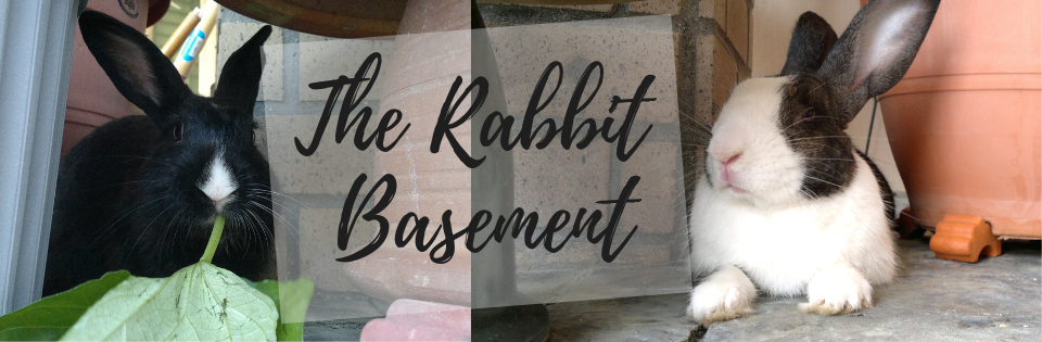 The Rabbit Basement