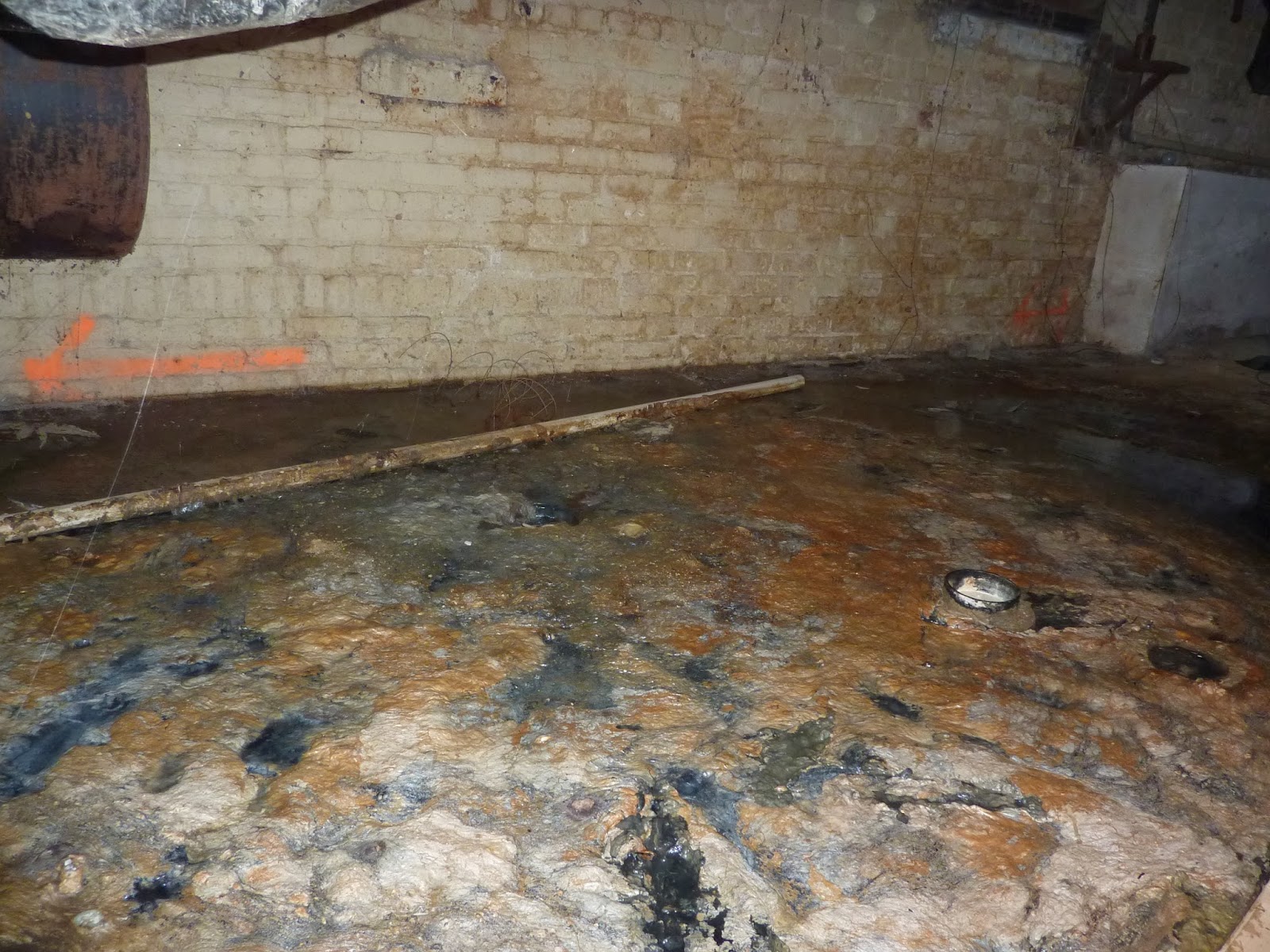 Aftercare Basement Sewage Cleanup And Disinfection Norfolk Virginia