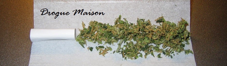 Drogue Maison