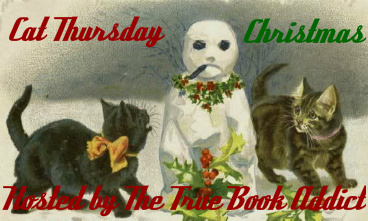 Merry Christmas Cat Pictures Merry Christmas Cat Pictures