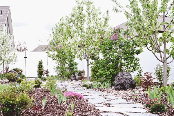 Panoply Spring Early Summer Garden A Winner