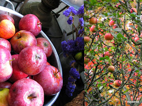 Bastelnixe Wannseenixe Sozusagen Vergnugt