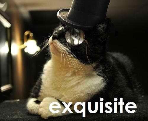 sassynpunk blog fancy cat aproves of u0026quotpusheenu002639s guide to being fancyu0026quot fancy cat 500x409