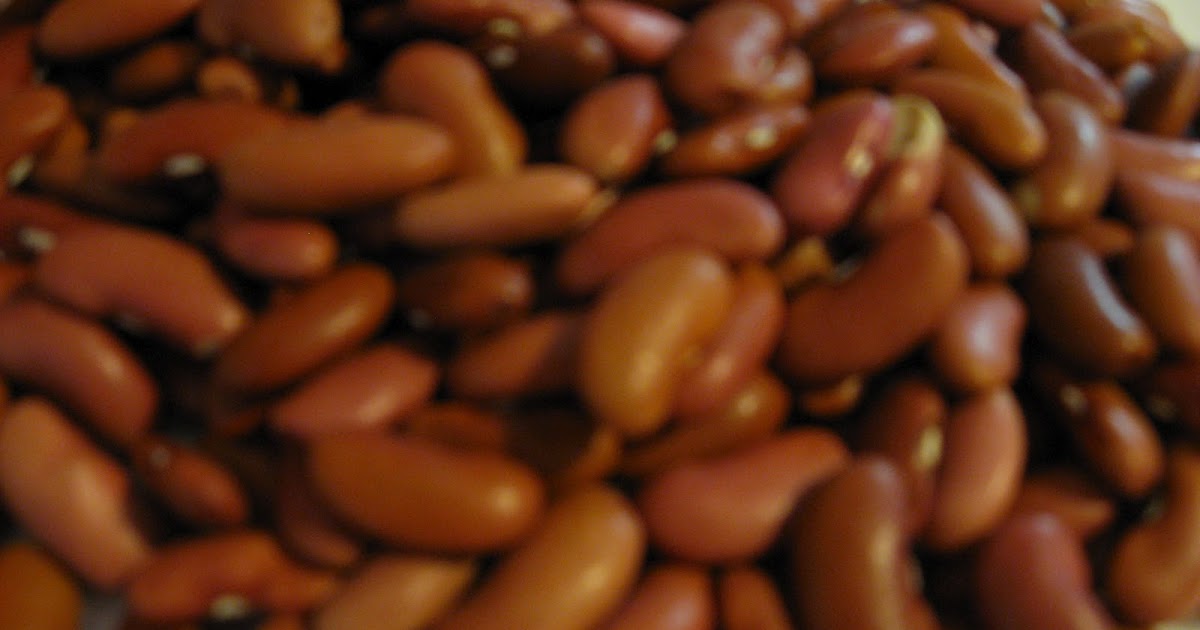 Engineering Homemaking Can Beans be Toxic?