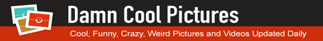 Damn Cool Pictures