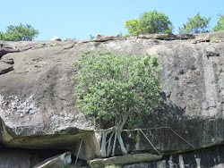 Jebel Mountain rock face