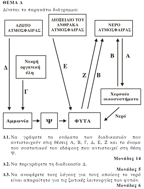 read Wavelet Active Media